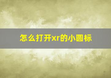 怎么打开xr的小圆标