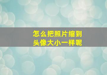 怎么把照片缩到头像大小一样呢