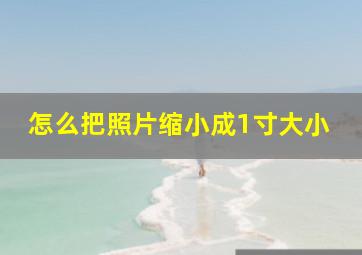 怎么把照片缩小成1寸大小