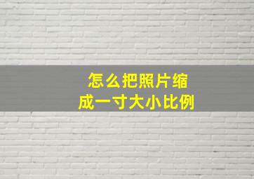 怎么把照片缩成一寸大小比例