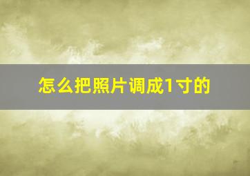 怎么把照片调成1寸的