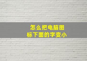 怎么把电脑图标下面的字变小