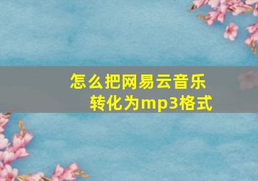 怎么把网易云音乐转化为mp3格式