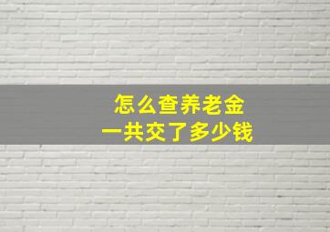 怎么查养老金一共交了多少钱