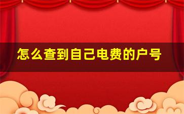 怎么查到自己电费的户号