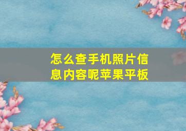 怎么查手机照片信息内容呢苹果平板