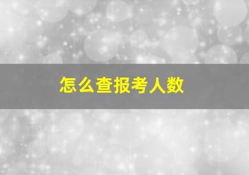 怎么查报考人数