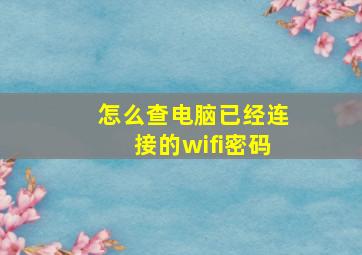 怎么查电脑已经连接的wifi密码