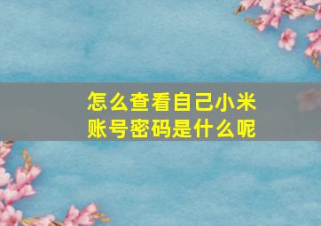 怎么查看自己小米账号密码是什么呢