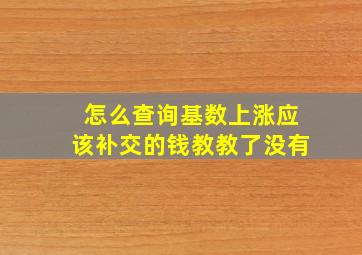 怎么查询基数上涨应该补交的钱教教了没有