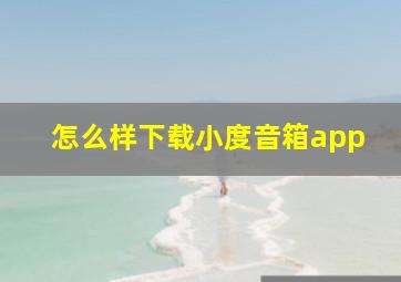 怎么样下载小度音箱app