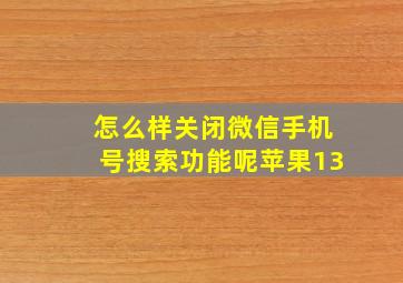 怎么样关闭微信手机号搜索功能呢苹果13