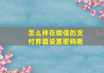 怎么样在微信的支付界面设置密码呢