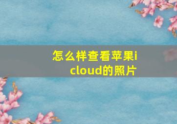 怎么样查看苹果icloud的照片