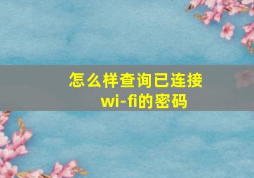 怎么样查询已连接wi-fi的密码