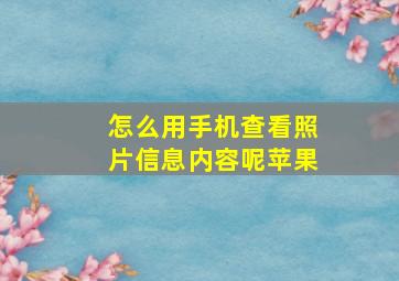 怎么用手机查看照片信息内容呢苹果