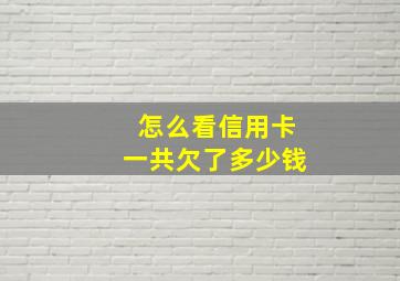 怎么看信用卡一共欠了多少钱