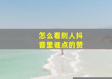 怎么看别人抖音里谁点的赞