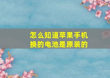 怎么知道苹果手机换的电池是原装的