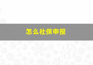 怎么社保申报