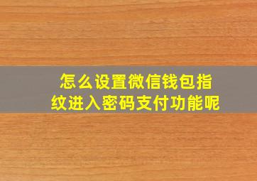 怎么设置微信钱包指纹进入密码支付功能呢