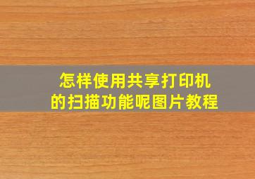 怎样使用共享打印机的扫描功能呢图片教程