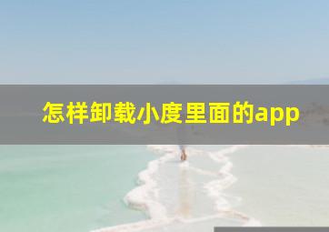 怎样卸载小度里面的app