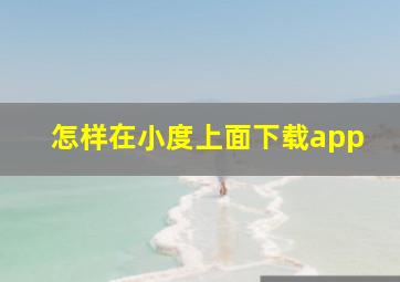 怎样在小度上面下载app