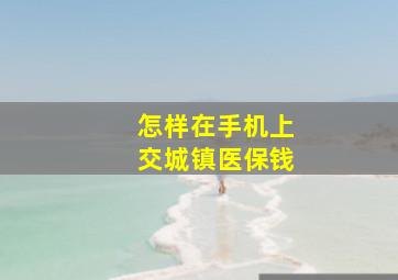 怎样在手机上交城镇医保钱