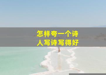 怎样夸一个诗人写诗写得好