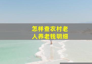 怎样查农村老人养老钱明细