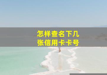 怎样查名下几张信用卡卡号