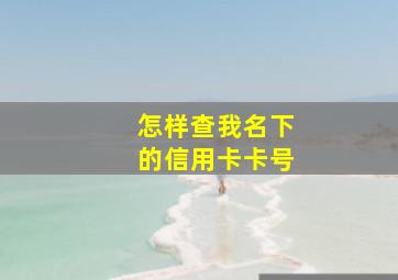 怎样查我名下的信用卡卡号