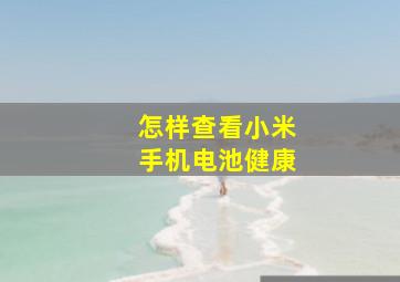 怎样查看小米手机电池健康