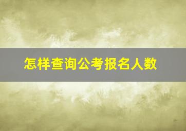 怎样查询公考报名人数