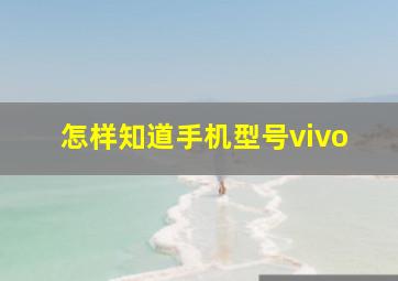 怎样知道手机型号vivo