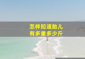 怎样知道胎儿有多重多少斤