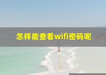 怎样能查看wifi密码呢