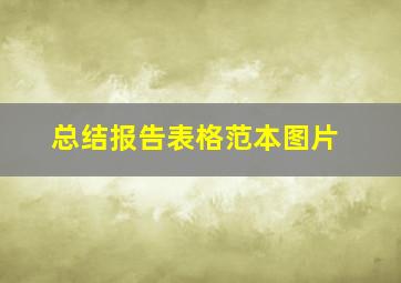 总结报告表格范本图片