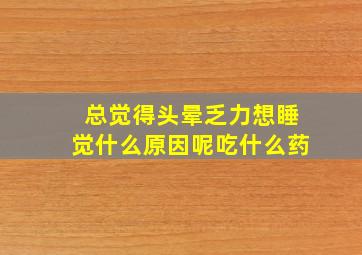 总觉得头晕乏力想睡觉什么原因呢吃什么药