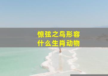 惊弦之鸟形容什么生肖动物