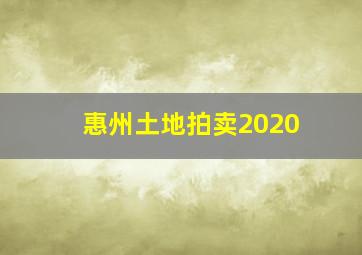 惠州土地拍卖2020