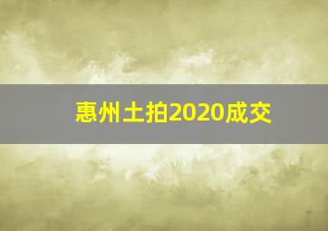 惠州土拍2020成交