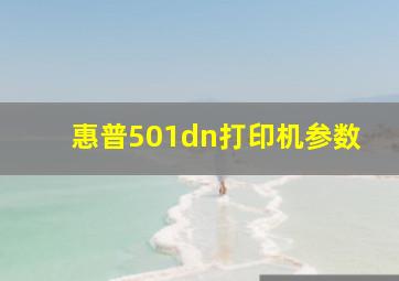 惠普501dn打印机参数