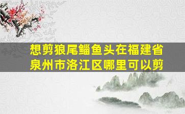 想剪狼尾鲻鱼头在福建省泉州市洛江区哪里可以剪