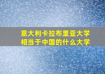 意大利卡拉布里亚大学相当于中国的什么大学