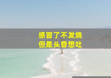 感冒了不发烧但是头昏想吐