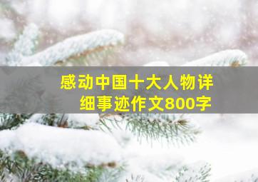 感动中国十大人物详细事迹作文800字