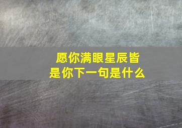 愿你满眼星辰皆是你下一句是什么