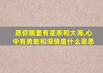 愿你眼里有星辰和大海,心中有勇敢和深情是什么意思